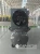 Винтовой компрессор GMP GM 5.5-10-200